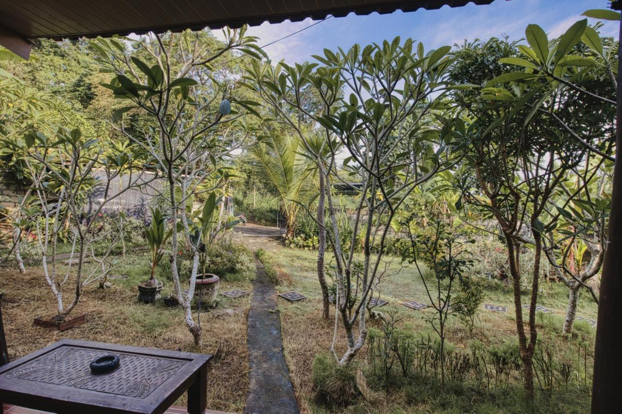 Hotel The Banana House à Sakti Extérieur photo